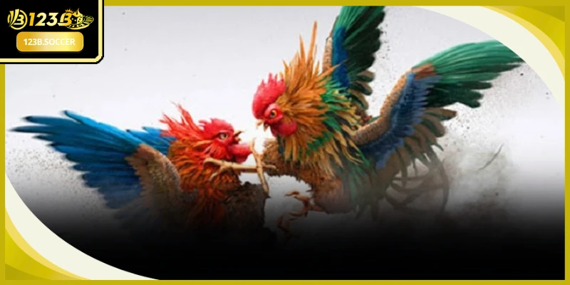 Đá Gà Cựa Sắt