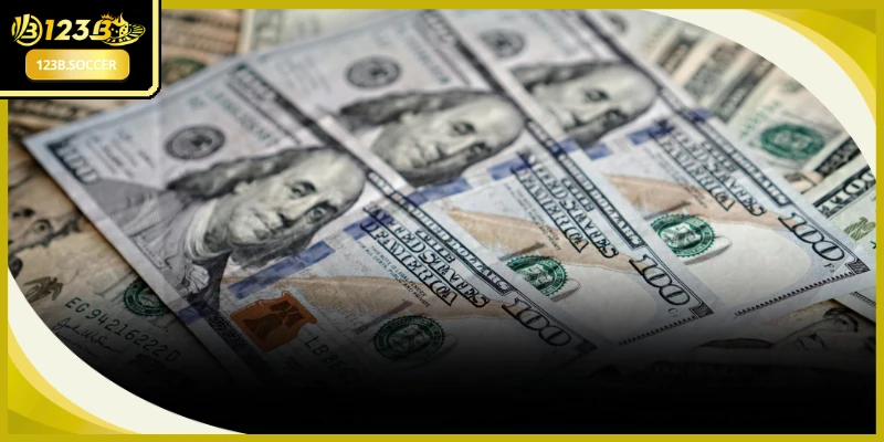 Sự phong phú trong chính sách ưu đãi mang tới nhiều sự lựa chọn đầu tư
