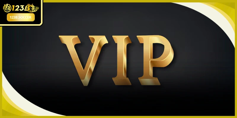 Quy trình xét duyệt cấp bậc minh bạch khi theo dõi tiến độ khuyến mãi VIP